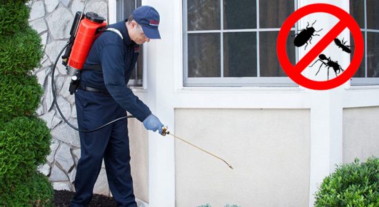 Gülyalı Gümüşkurt İlaçlama böcek ilaçlama ve haşere kontrolü — ilaclama-tr.com